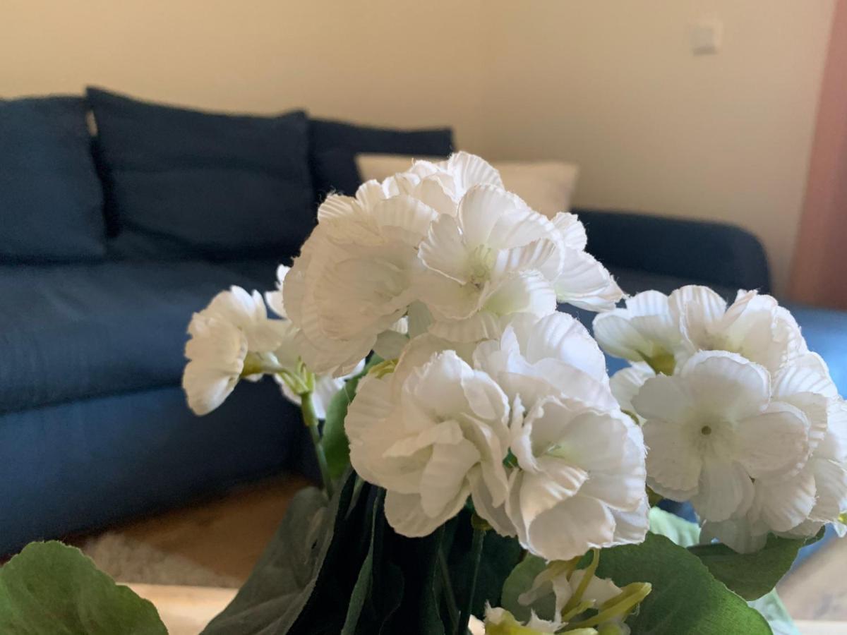 Im Osteiner Hof Apartment