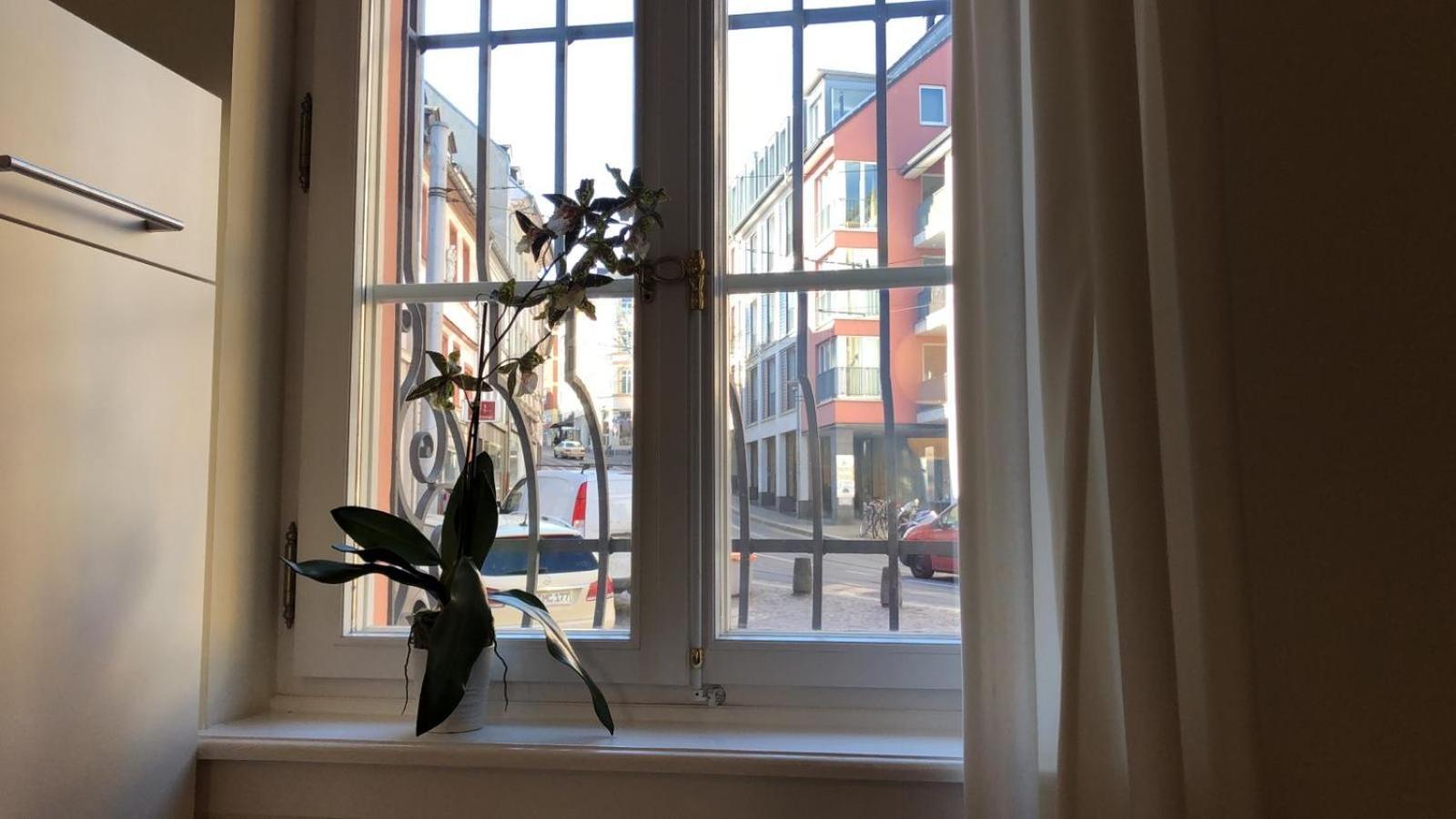 Apartment Im Osteiner Hof Mainz
